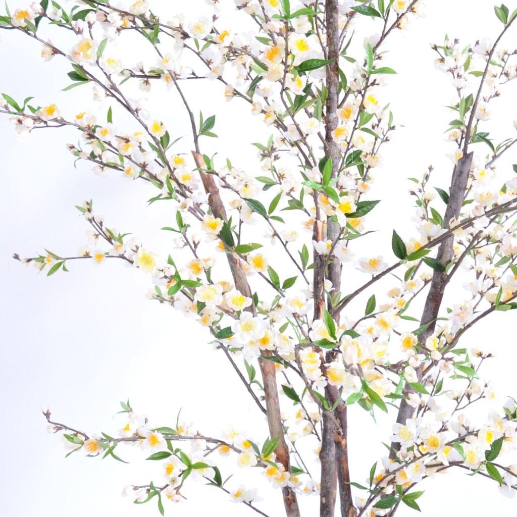 Cerisier décoratif blanc, grand format de 210 cm — photographie complémentaire