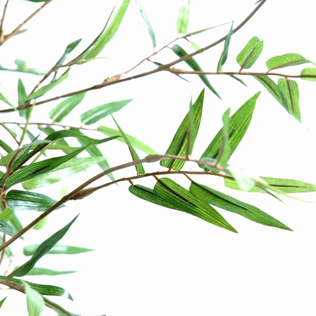 Bambou décoratif Oriental, silhouette de 150 cm — photographie complémentaire