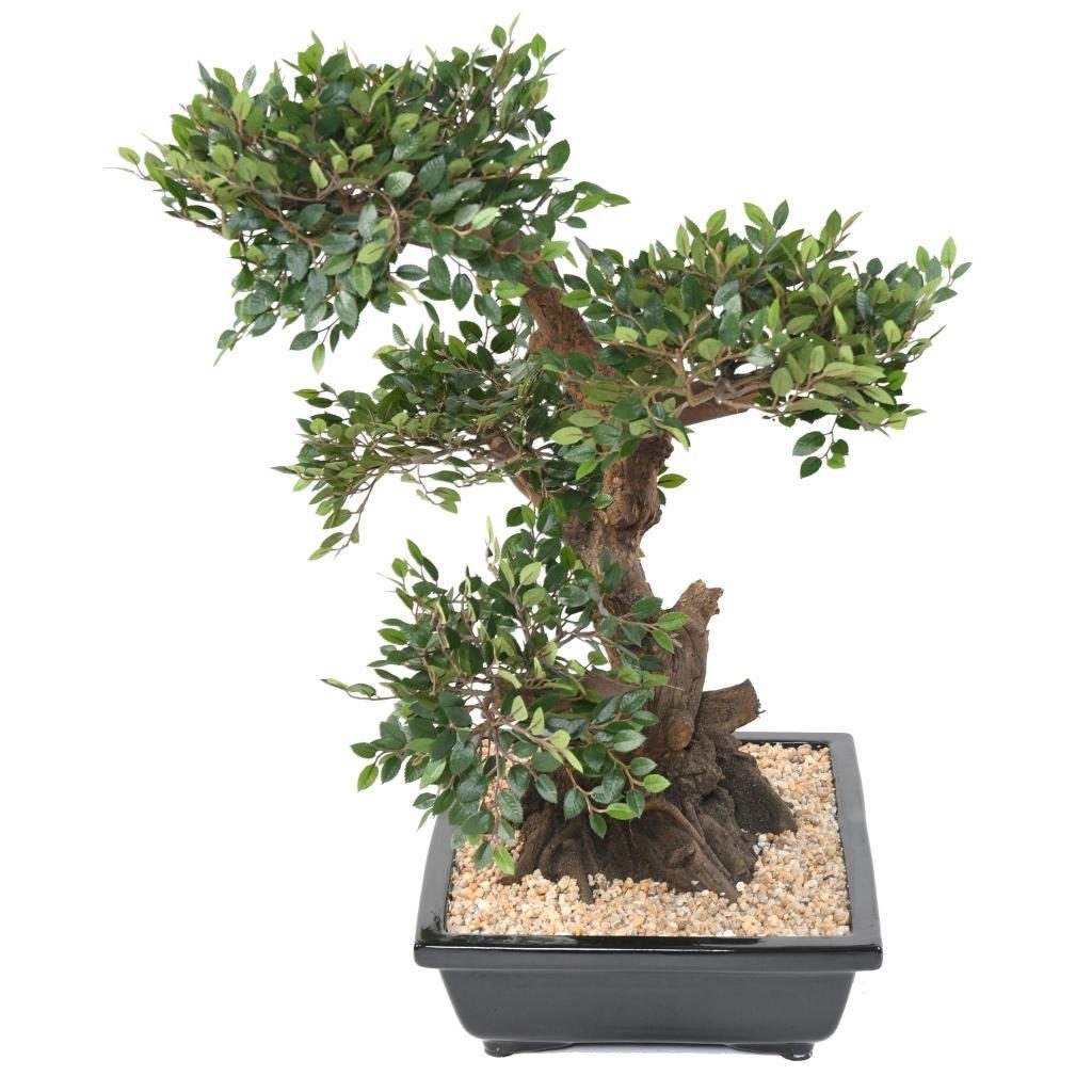 Orme miniature décoratif en coupe, 70 cm — photographie complémentaire