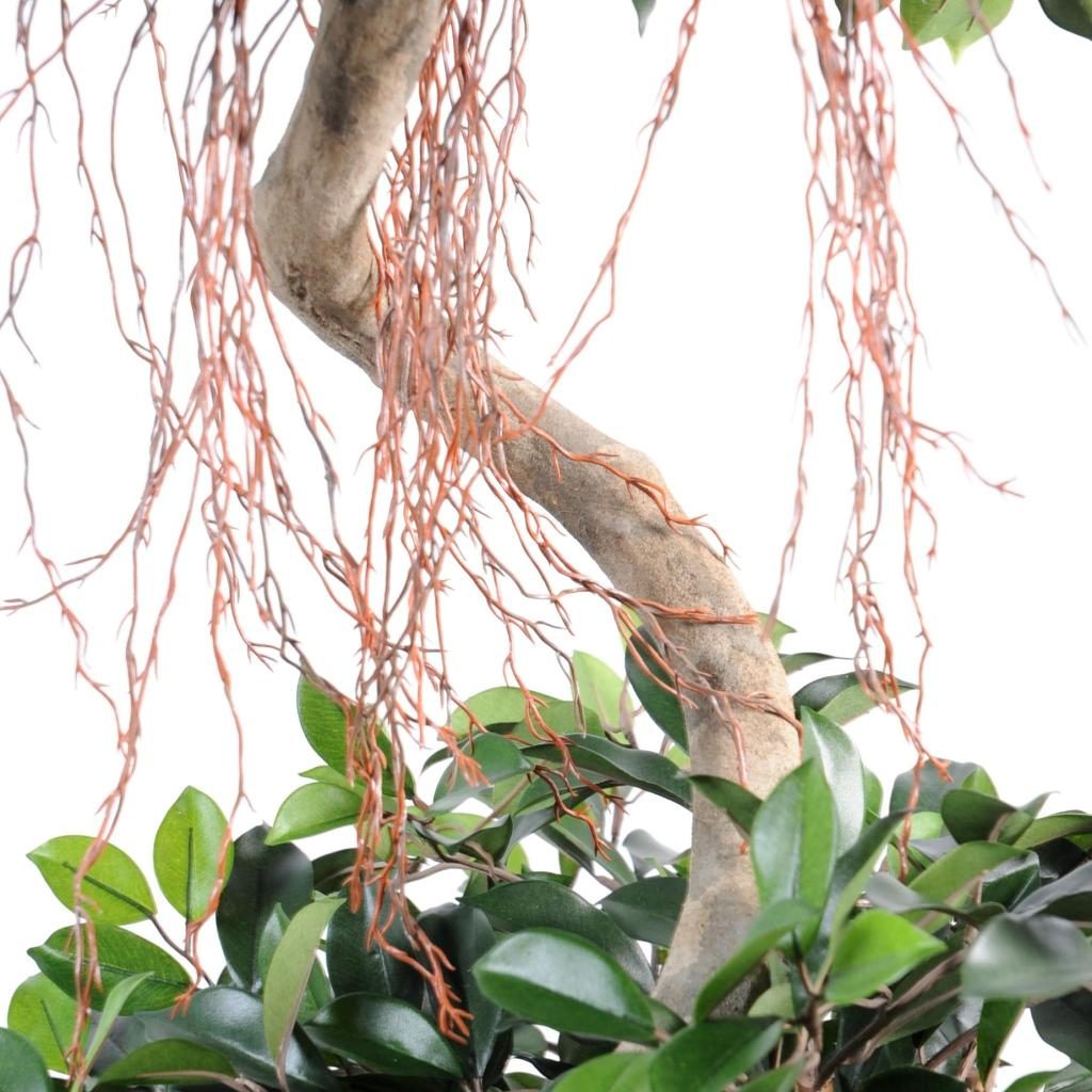 Ficus décoratif à deux couronnes spiralées, 185 cm — photographie complémentaire